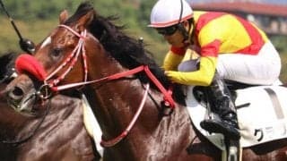 矢作厩舎ゆかりの超良血馬 3きょうだい重賞制覇へ勝負の格上挑戦