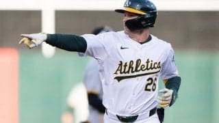 元エ軍ネビン監督にそっくり？　3か月で2度の戦力外も…父のライバル球団で“覚醒”