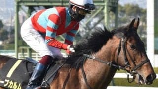 武豊騎手が京都新聞杯で狙う”珍記録”？ キズナ以来の11年ぶり制覇なるか