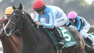 【NHKマイルC予想】波乱含みの一戦でAIが推奨した馬は？ 前走の着順と格がポイントに