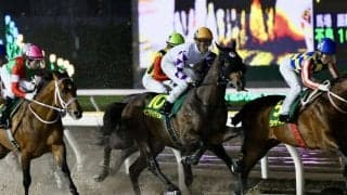 【かしわ記念】藤岡佑「迷惑をかけてしまいました」ペプチドナイルは3着まで