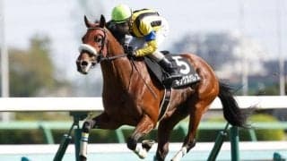 【新潟大賞典展望】1番人気が17連敗中のハンデ戦、前走の上がり順位に注目