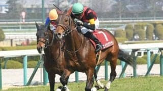 障害路線で活躍した10歳馬エイシンクリックが抹消 阪神競馬場で乗馬に