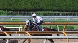 メイショウタバル、日本ダービー追い切り速報/栗東トレセンニュース