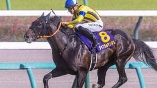 【NHKマイルC・調教後馬体重】ジャンタルマンタルは494kg、ゴンバデカーブースは473kg