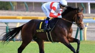 4億5000万円の超高額馬 プリンシパルSでダービーへの最終切符獲りへ