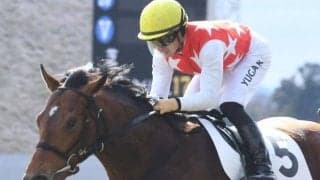 【京都新聞杯出走馬・騎手確定】ヴェローチェエラ＆川田将雅騎手、アドマイヤテラ＆M.デムーロ騎手など15頭