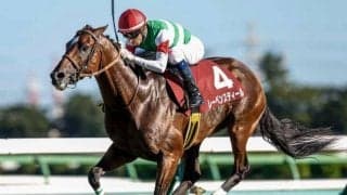 【新潟大賞典出走馬・騎手確定】レーベンスティール＆津村明秀騎手、ヨーホーレイク＆荻野極騎手など16頭