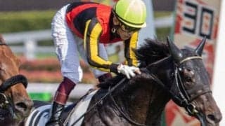 日本ダービー馬＆皐月賞馬の半弟 土曜京都5Rで初陣V狙う