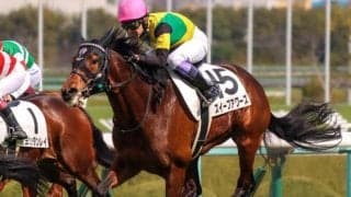 父ディープインパクト×母スイープトウショウの超良血 武豊騎手とのタッグで巻き返しへ