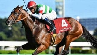 昨年のセントライト記念覇者が復帰戦 香港の悔しさを越後路で晴らすか