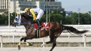 【園田・兵庫大賞典】タイガーインディが断然の支持に応える…廣瀬「緊張しました」