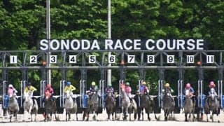 【園田・姫路競馬】芦毛だよ全員集合！11頭立ての芦毛レースが話題