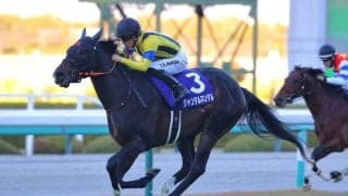 【NHKマイルC】出走馬の調教後の馬体重