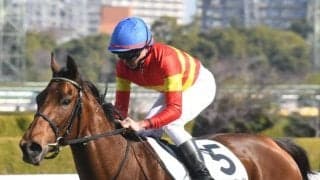 【京都新聞杯枠順確定】ベラジオボンドは5枠8番、ヴェローチェエラは4枠7番