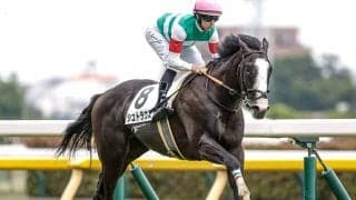 NHKマイルCは「早い馬」を狙え!? 8年連続連対中の6月デビュー組を要チェック