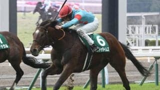 23年の小倉大賞典覇者ヒンドゥタイムズが抹消 今後は乗馬に