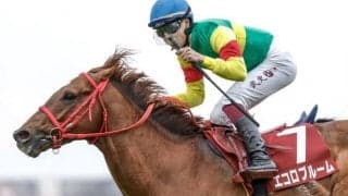 エコロブルームが骨折で6カ月以上の休養見込み 今年のニュージーランドT覇者