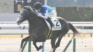 【京都新聞杯予想】実績よりも近況の勢いが重要!? ダービーの東上最終便は前走1勝クラス組に注目