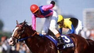 「メイショウドトウ、28歳の春」 開腹手術から回復、夢中で草を食む毎日