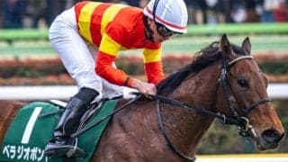 京都芝はロードカナロア産駒を狙え 京都新聞杯はベラジオボンドで好配狙い