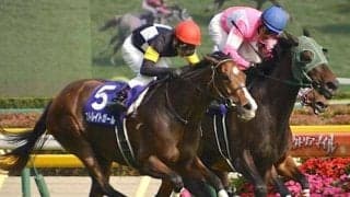 大穴出す伏兵に共通点は？ 2つの荒れる東京マイルGIを検証してみた