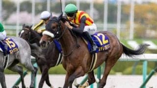 【オークス想定馬・騎手】ステレンボッシュ、アドマイヤベルなど15頭