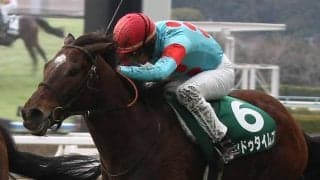 ヒンドゥタイムズの競走馬登録抹消