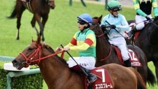 エコロブルームが骨折、休養へ