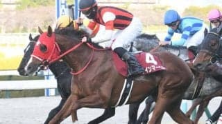 【京王杯SC想定馬・騎手】ウインマーベル、ソーヴァリアントなど14頭