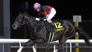 【名古屋グランプリ枠順】連覇を狙うディクテオンは4枠4番