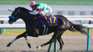 菊花賞馬ドゥレッツァが骨折