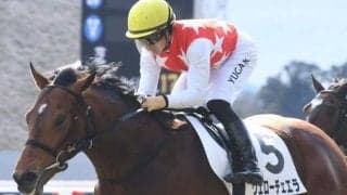 【今日の注目ポイント】京都新聞杯と武豊騎手のJRA通算4500勝達成なるか