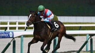 【京都新聞杯予想】ダービー出走へ最後の扉を開くのは？ ロングスパートをかけられる馬が有利になる東上最終便