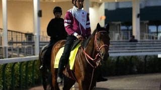 アメリカ競馬最高峰の一戦、ケンタッキーダービーでフォーエバーヤングの偉業達成なるか!?