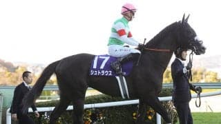 NHKマイルＣは高配当必至 脚光浴びる「２強」の陰に隠れた実績馬２頭の反撃に注意せよ