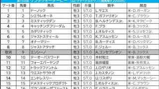 【ケンタッキーダービー／馬連5点】過去には“ブービー人気勝利”や“3連単1600万円”の大波乱　米国勢の有力候補はムラ駆け懸念でバッサリ