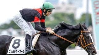 【NHKマイルC予想】過去に3連単100万馬券も クラシック好走馬が波乱の歴史に挑む