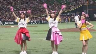 「よかよかダンス」がリニューアル　鷹ハニーズとばってん少女隊がコラボしたワケ