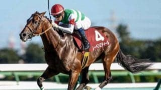 【新潟大賞典前日オッズ】レーベンスティールが3.2倍で1番人気