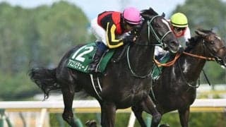 【NHKマイルC前日オッズ】アスコリピチェーノが2.5倍で1番人気