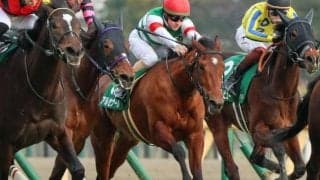 東京芝は先行できるロベルト系に注 アルセナールで好配狙い