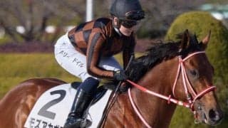 日曜京都最終に矢作厩舎が米国産馬2頭出し フォーエバーヤングとともに勝利飾るか