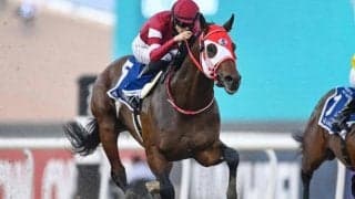ケンタッキーダービーに日本馬2頭が参戦 「スポーツの中で最も偉大な2分間」を制すか