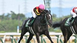 【AI予想・NHKマイルC】馬場の影響が顕著に出る3歳マイル王決定戦！ 本命は鋭い決め手を持つ実力馬