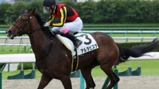 母は名牝ブエナビスタ 良血馬が日曜・咲花特別で連勝狙う