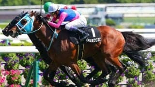 【鴨川特別】武豊騎手がJRA・4498勝目…節目まであと2勝