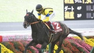 【NHKマイルC予想】3歳マイル王決定戦 今年は牡牝2歳王者の対決に注目