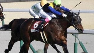 【新潟大賞典予想】人気順当にはいかない？ 難解なハンデ重賞を制するのは