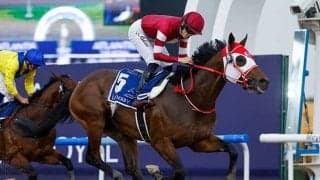 【米・ケンタッキーダービー】10番人気ミスティックダンV フォーエバーヤング僅差3着、テーオーパスワード5着